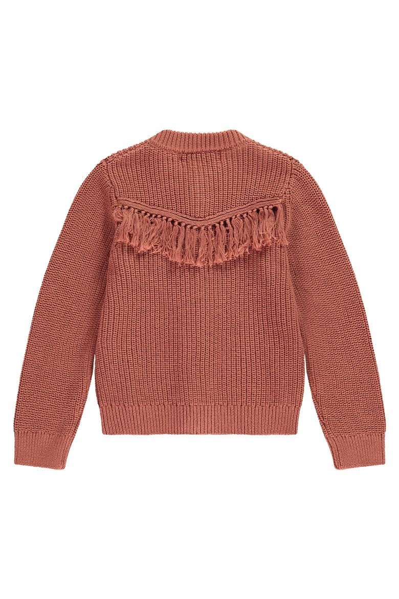 Tassel Accent Knit Cardigan, Alternate, color, Canyon