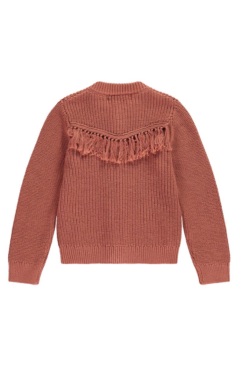 Stains and Stories by Babyface Tassel Accent Knit Cardigan, Alternate, color, Canyon