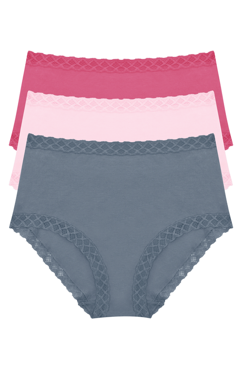 Natori Bliss Lace-trim Cotton Brief Underwear 3-pack 156058mp In Multi