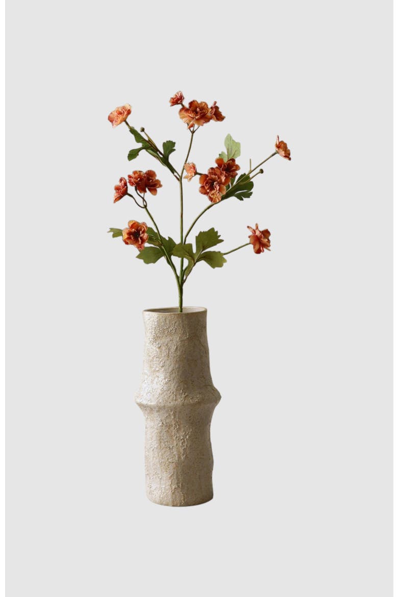 Orange Zinnia Flowers, Main, color, Orange