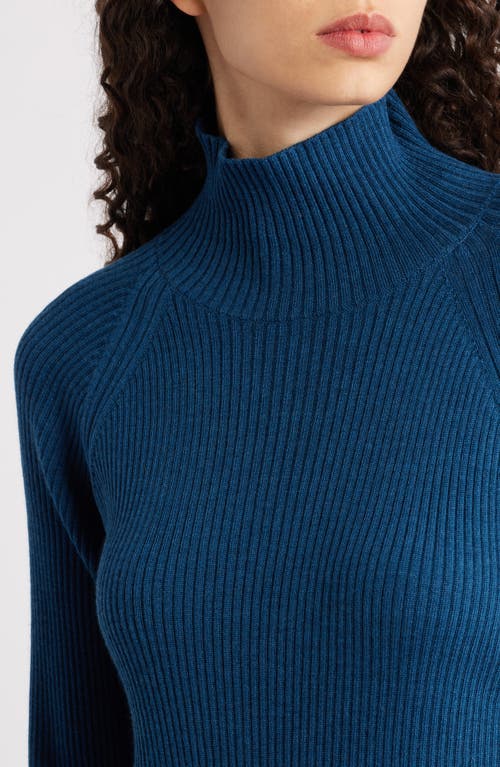 Eileen Fisher Rib Turtleneck Wool Sweater In Blue