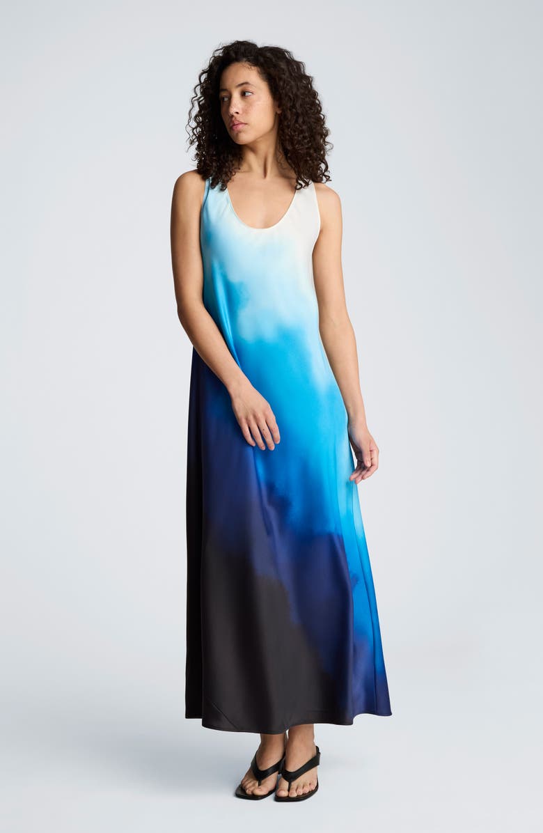 Kenneth Cole Print Sleeveless Maxi Dress, Alternate, color,
