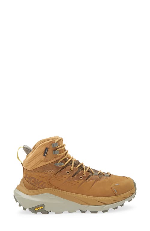 Hoka Kaha 2 Gtx Waterproof Hiking Boot In Honey/barley
