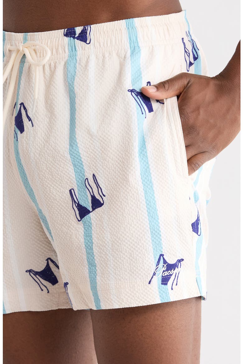 Bikini Embroidered Stripe Swim Trunks, Alternate, color, GREEN/ WHITE
