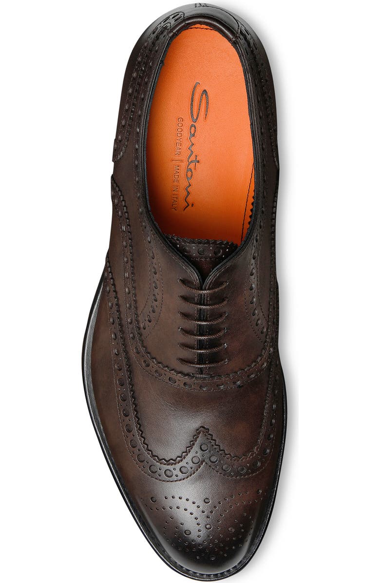Santoni Enrico Brogue Wingtip Oxford, Alternate, color,