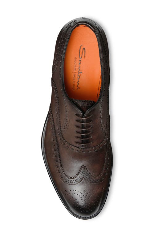 Santoni Enrico Brogue Wingtip Oxford