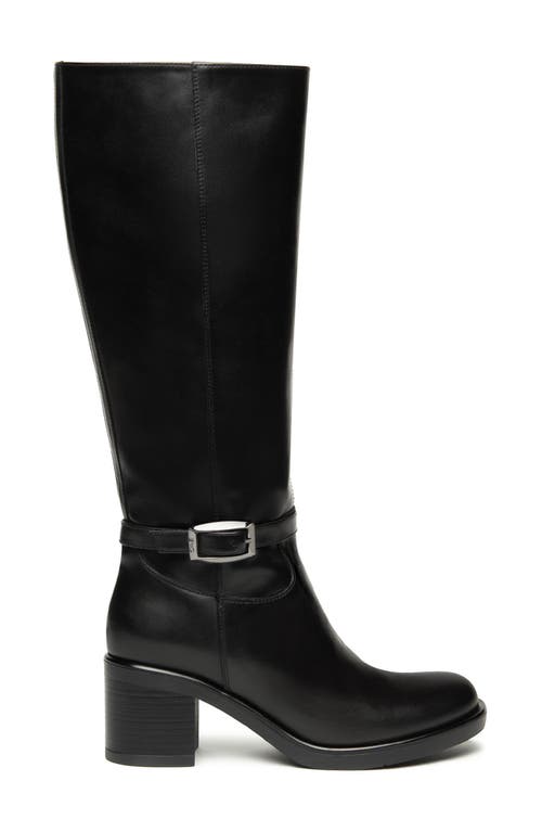 Nerogiardini Tall Buckle Boot In Black
