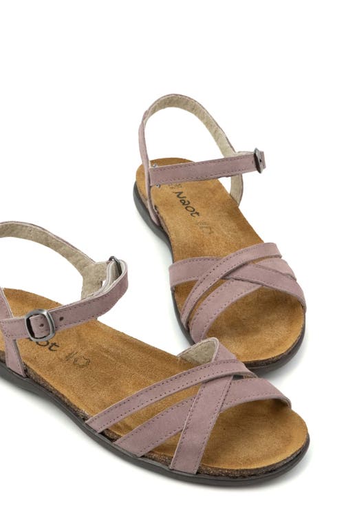 Naot Patricia Sandal In Mauve Nubuck