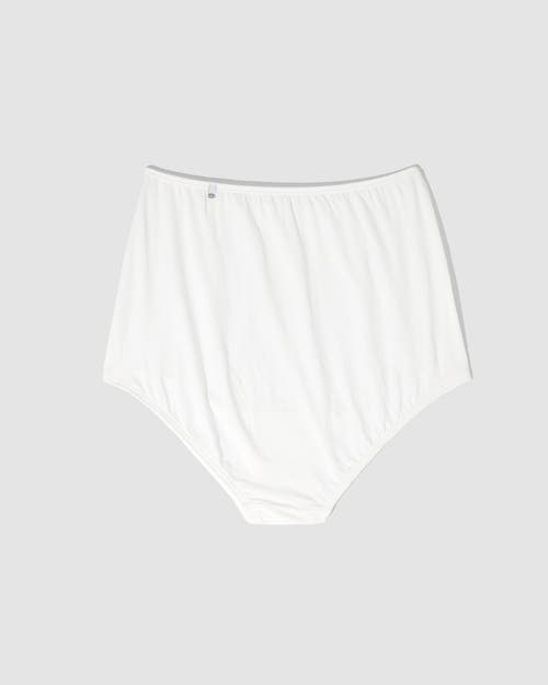 Oddobody Organic Cotton High Waisted Brief In Chalk