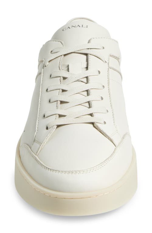 Canali Low Top Leather Sneaker In Natural