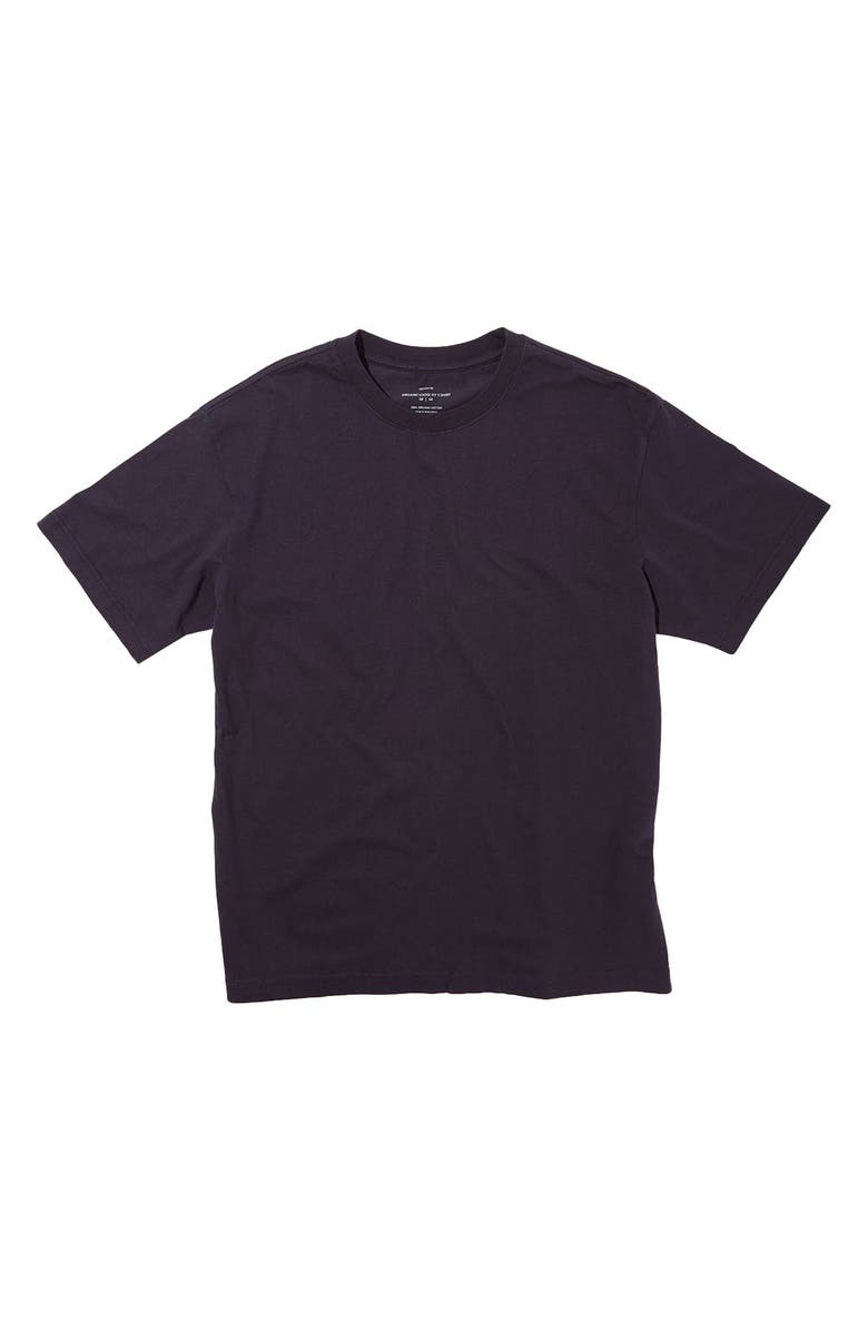 Cotton On Organic Loose Fit T-Shirt, Alternate, color, 