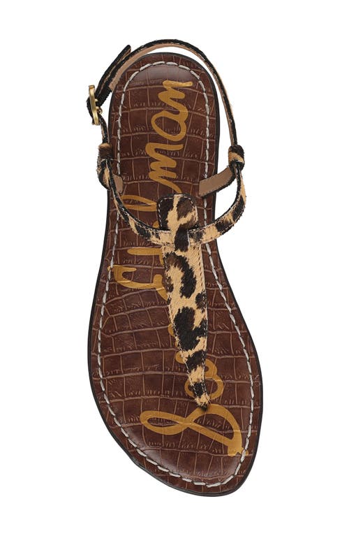 Sam Edelman Gigi Sandal In Cyprus Tan Multi