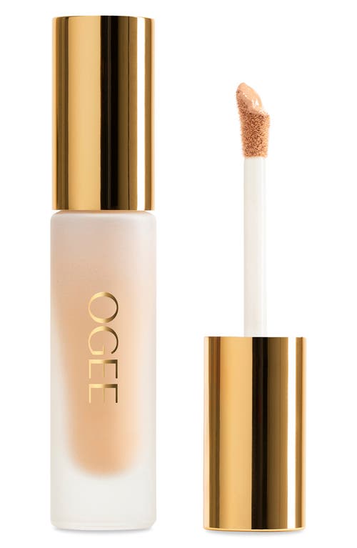 Ogee Complexion Perfecting Concealer In Brown