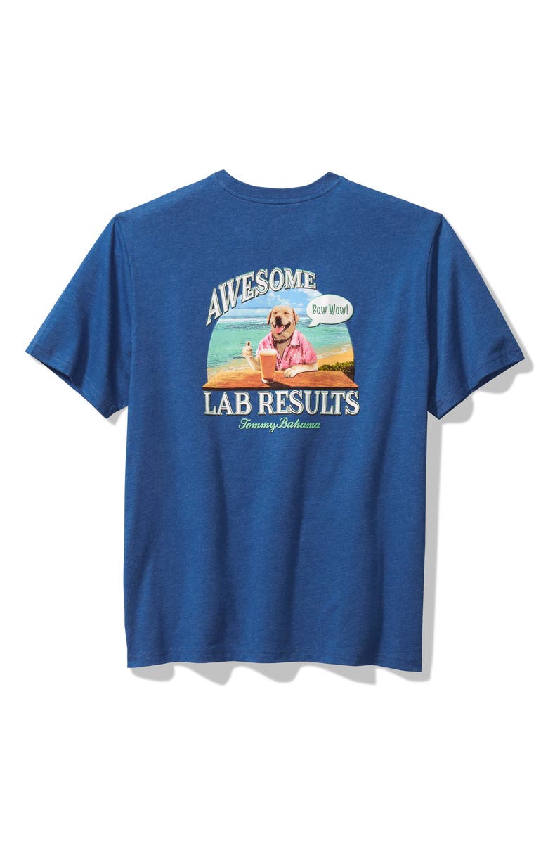 Tommy Bahama Awesome Lab Results Graphic T-Shirt, Alternate, color,