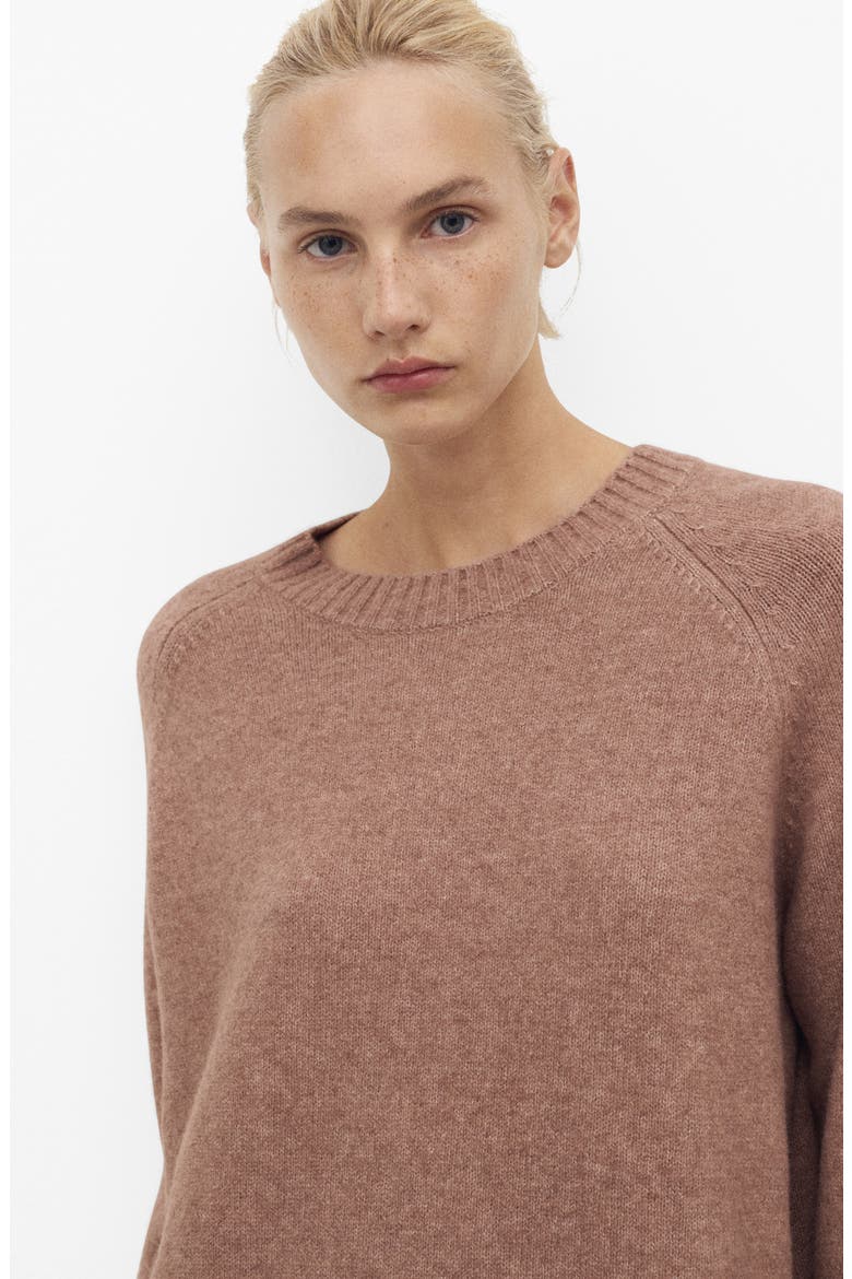 Crewneck Raglan Sleeve Sweater, Alternate, color, MEDIUM BROWN