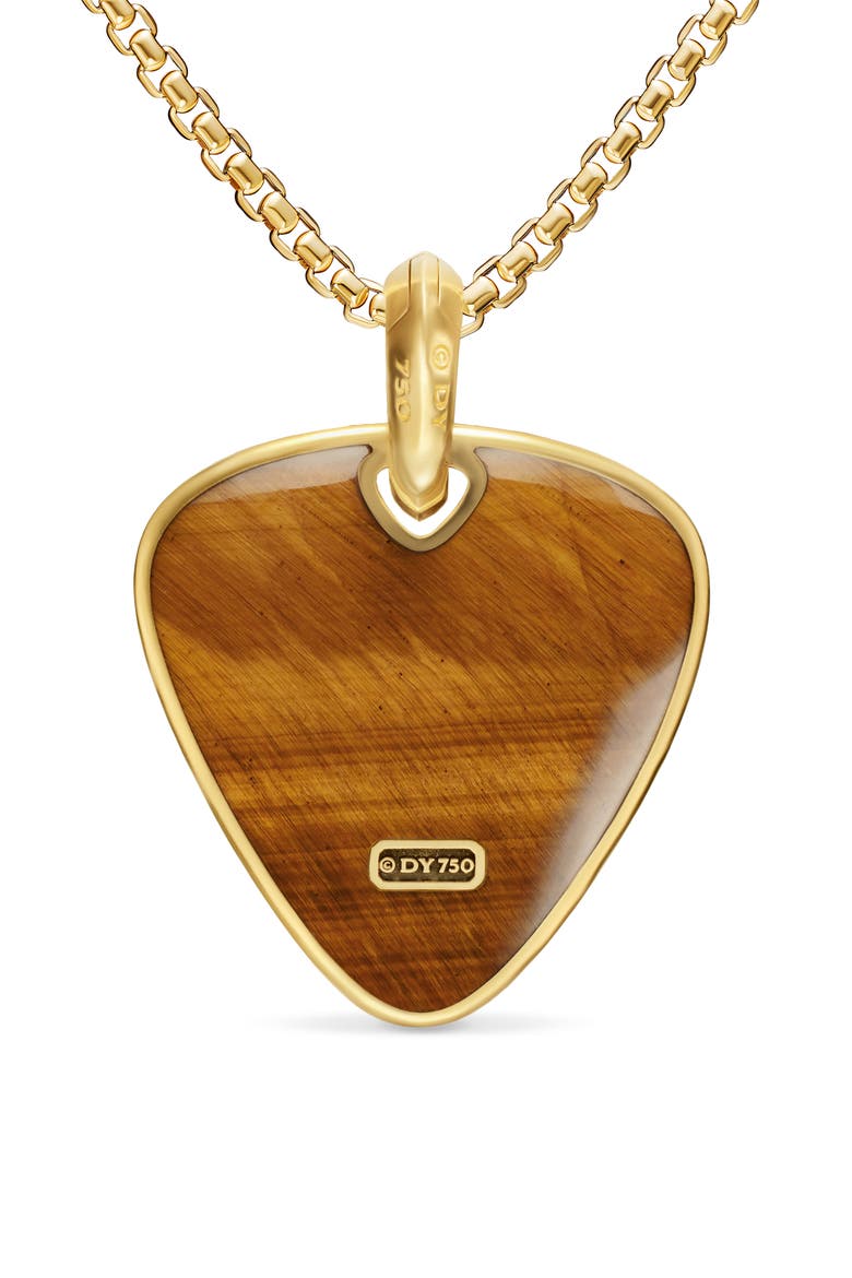Men's Streamline Pick Amulet in 18K Yellow Gold, Alternate, color, TIGERS EYE