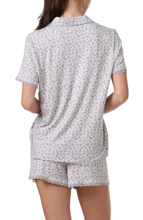 Splendid Notch Collar Short Pajamas
