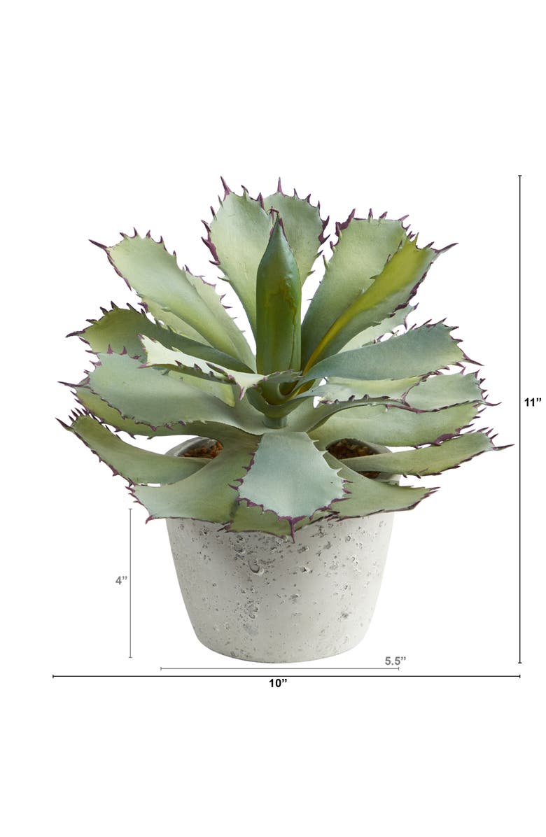 NEARLY NATURAL 11-in Succulent Artificial Plant, Alternate, color, Green