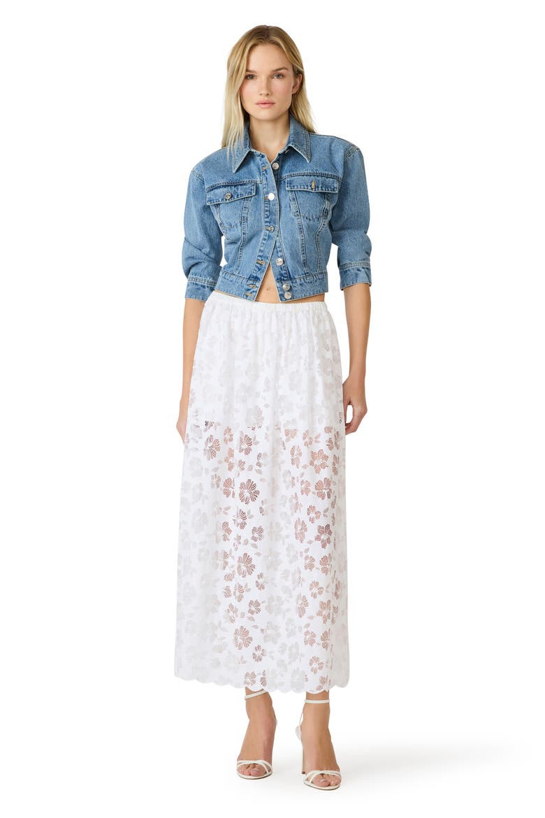 Anaisa Lace Maxi Skirt, Alternate, color, WHITE