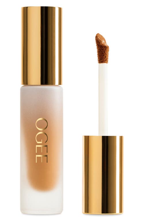 Ogee Complexion Perfecting Concealer In Green