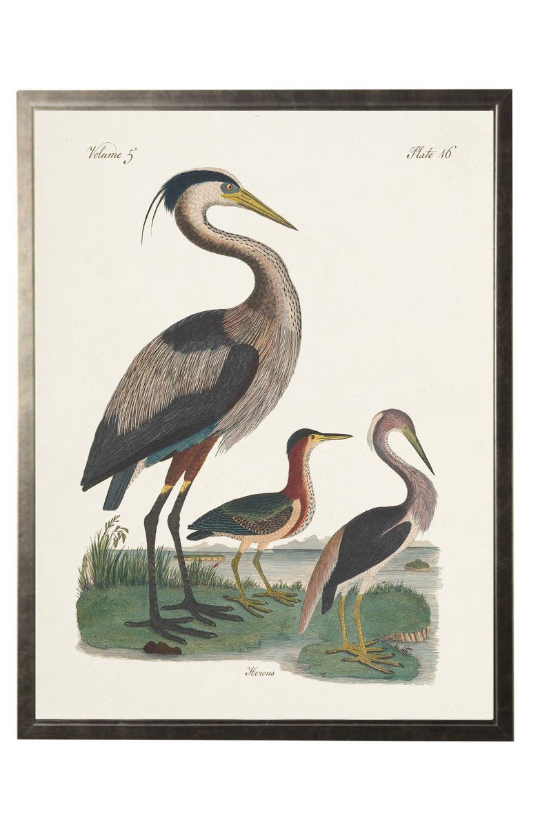Antique Curiosities Herons in Silver Frame, Main, color, Multi