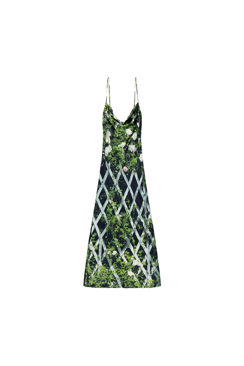 Elisa Dress, Alternate, color, Leafy Rose Trellis