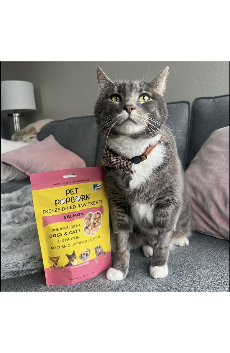 Pet Popcorn Freeze Dried Raw Treats, Salmon, 2.5oz Bag, Dog & Cat Snacks, Alternate, color, Multicolored