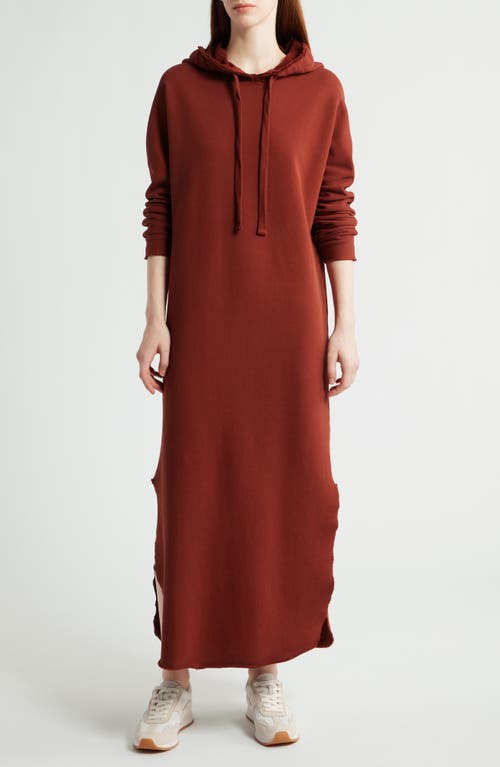 Frank & Eileen James Long Sleeve Hooded Cape Dress In Brown