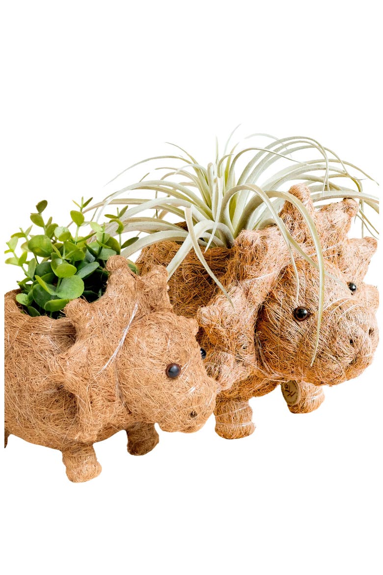 Dinosaur Coco Coir Planters, Alternate, color, Brown Baby Triceratops