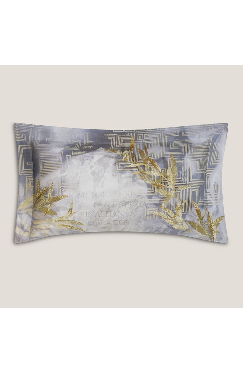 Togas Delphia pillowcase, Main, color, Grey