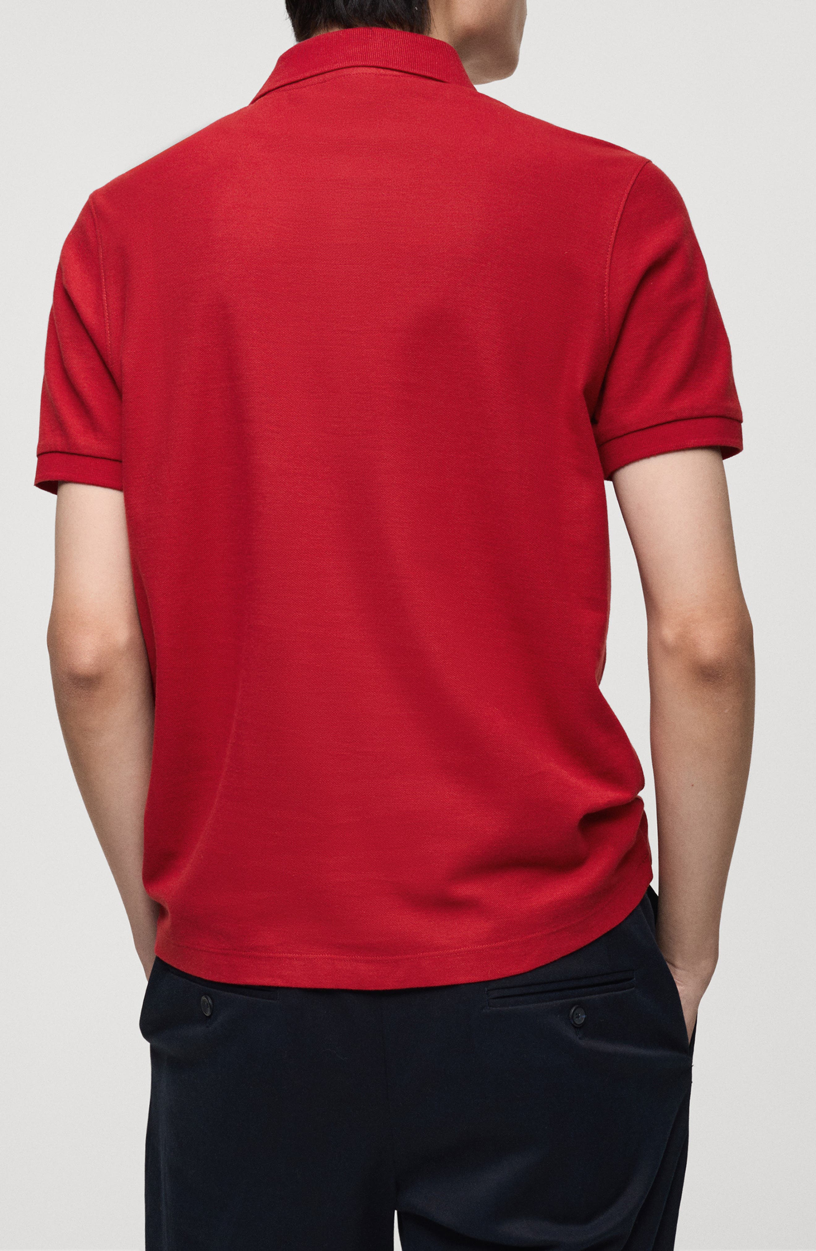 Embroidered Graphic Polo - image 4
