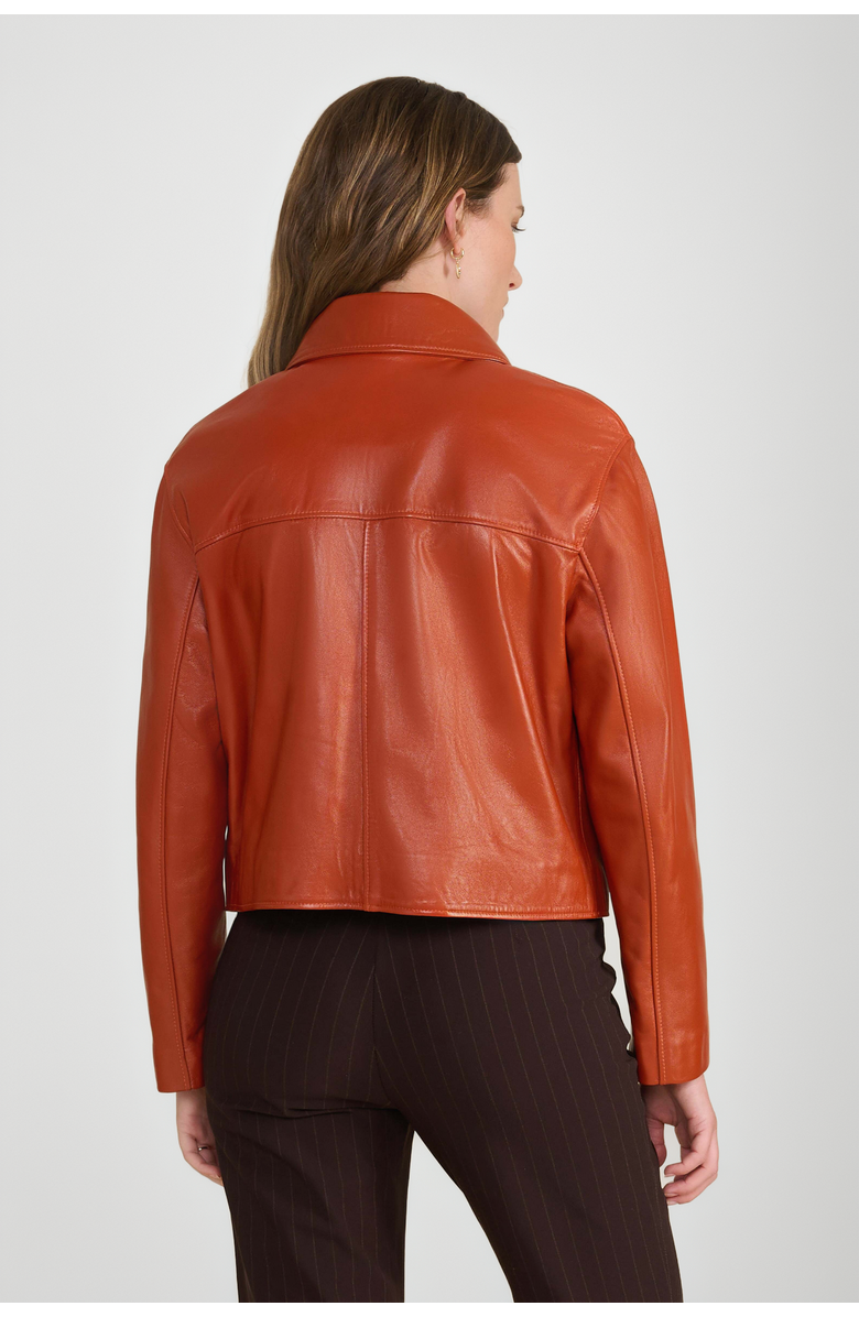 Furniq UK Ella Leather Jacket, Alternate, color, Whiskey