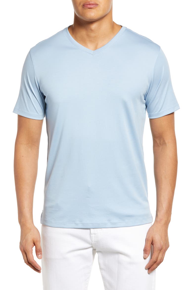 Georgia Regular Fit V-Neck T-Shirt, Main, color, SOFT CHAMBRAY