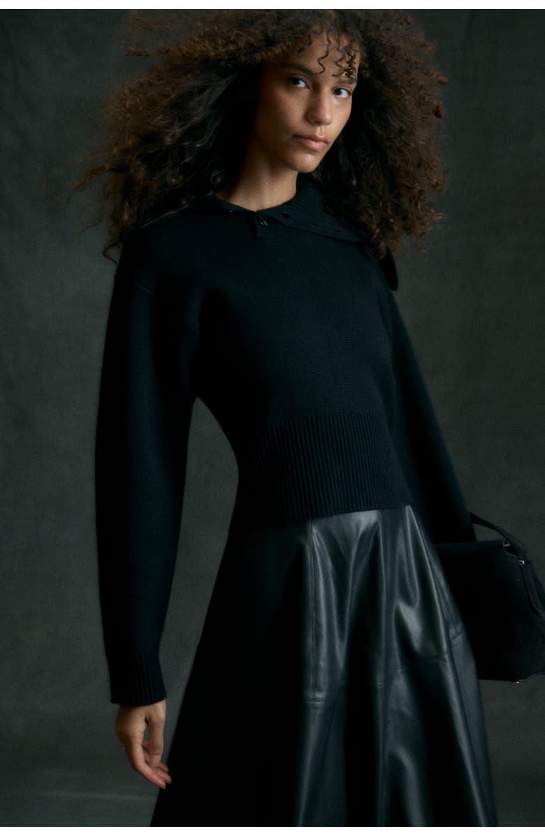 Modern Citizen Elijah Foldover Button-Collar Sweater, Alternate, color, Black