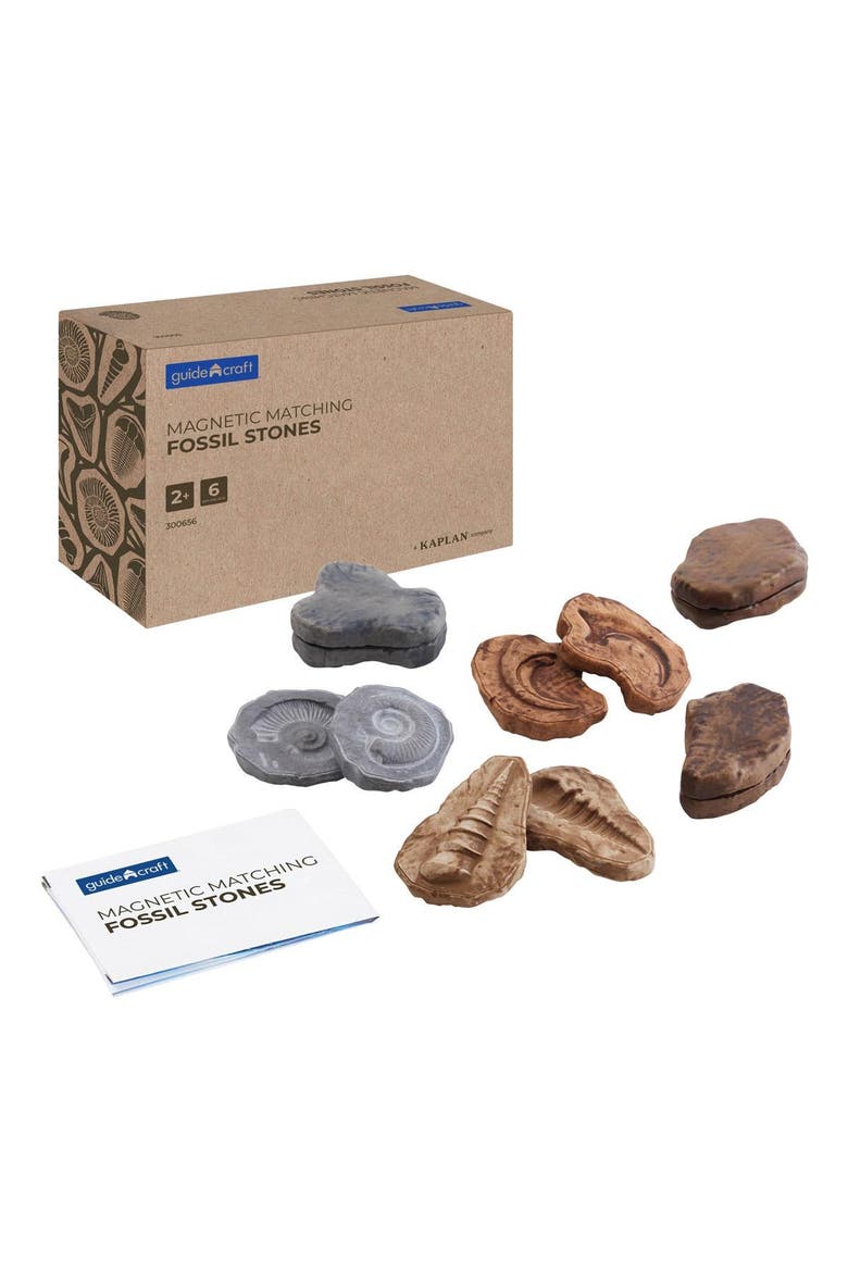 Magnetic Matching Fossil Stones - Set of 6, Main, color, Multicolored