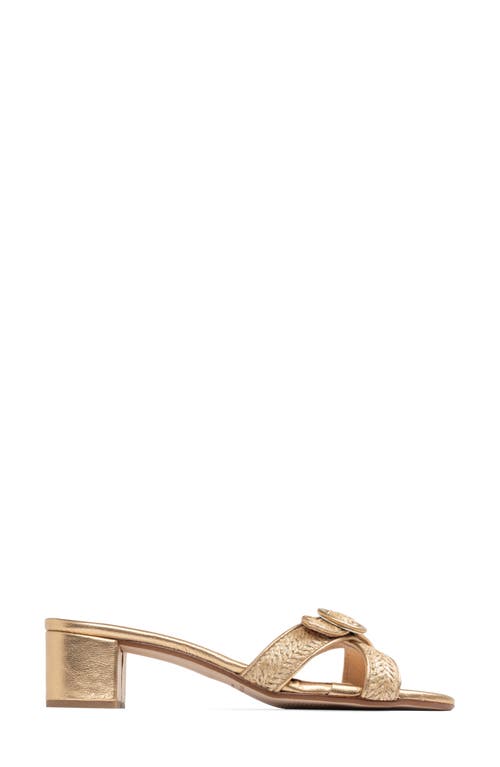 Patricia Green Geneva Slide Sandal In Bronze Raffia