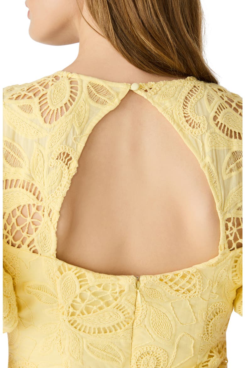 Elly Embroidered Minidress, Alternate, color, PALE YELLOW