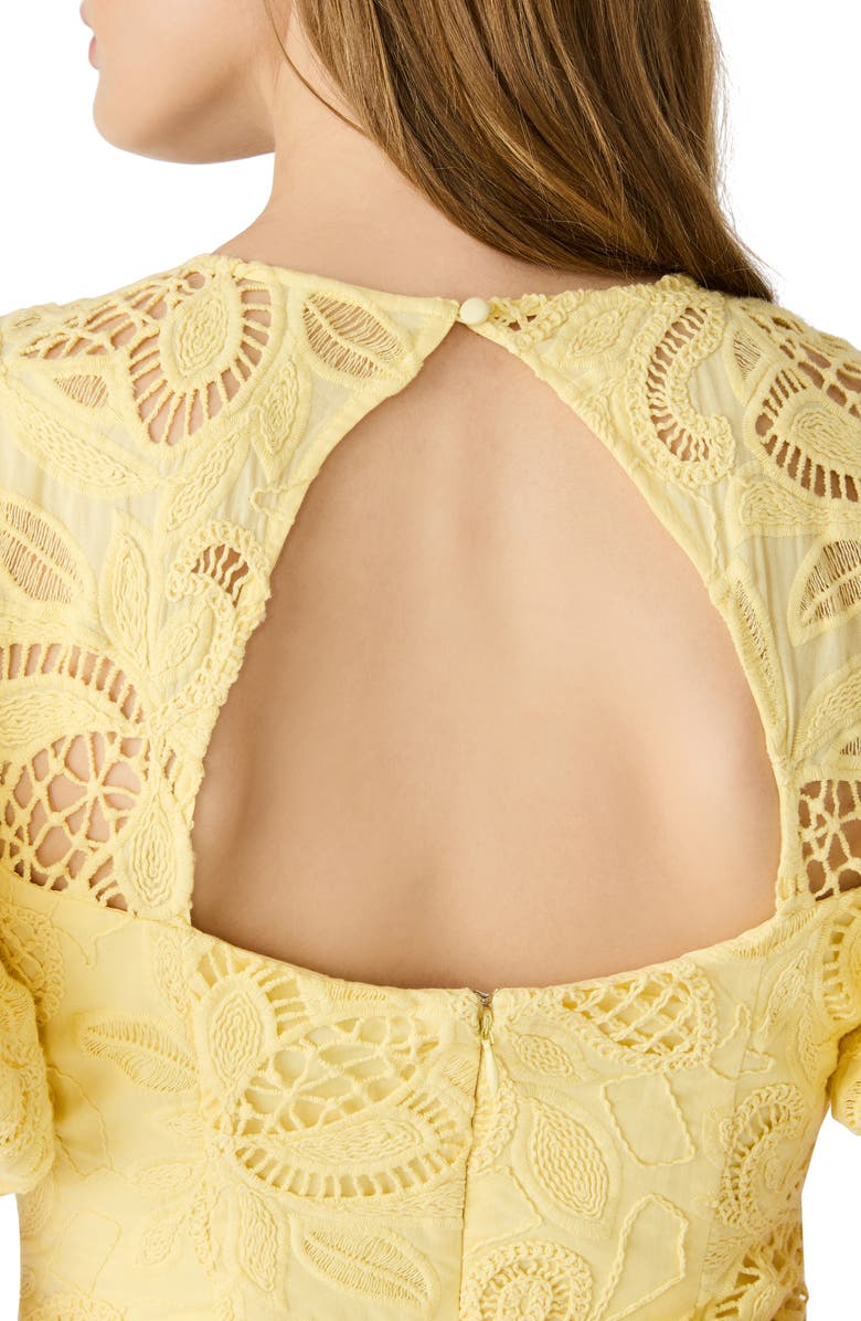 Steve Madden Elly Embroidered Minidress, Alternate, color, Pale Yellow