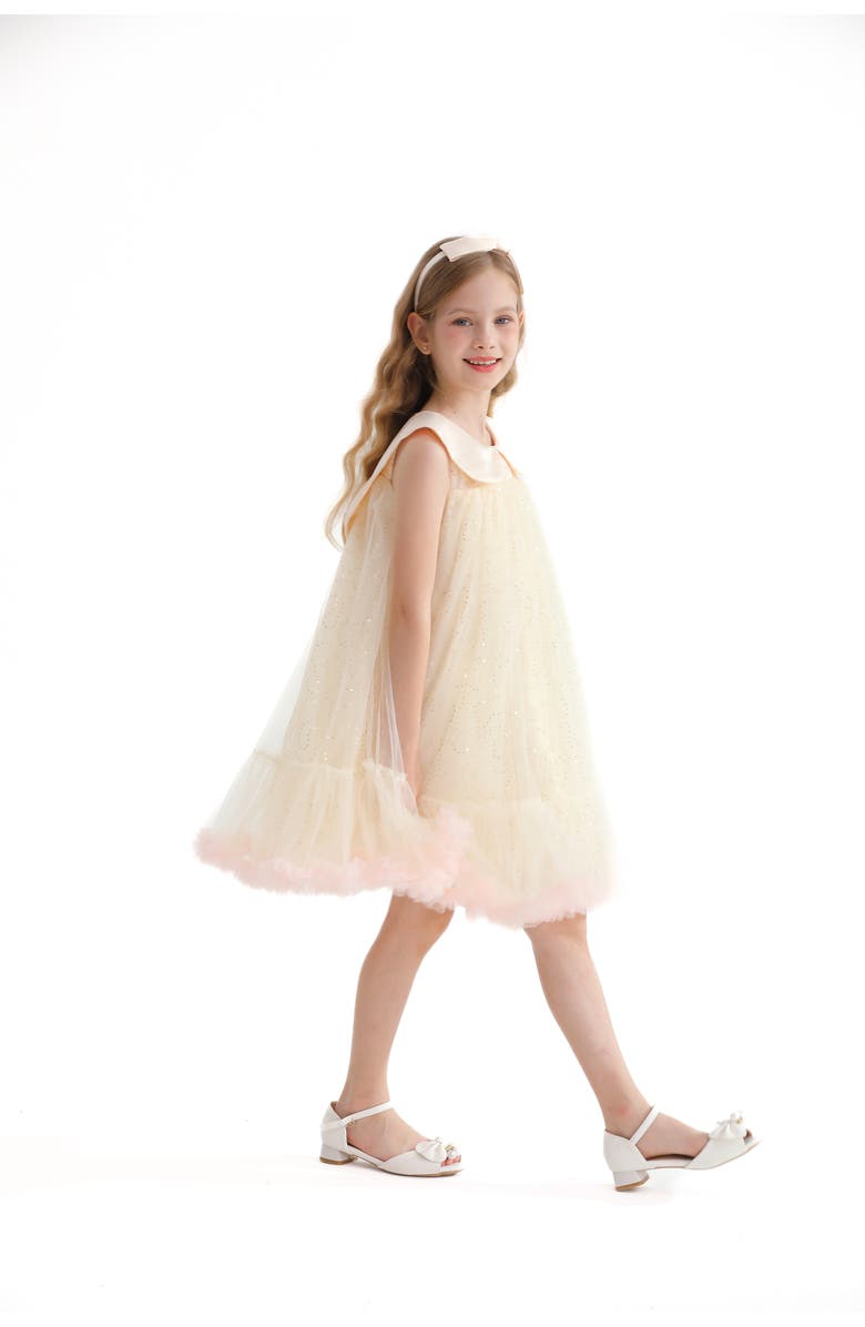 Tulleen Caledonia Dress, Alternate, color, Champagne