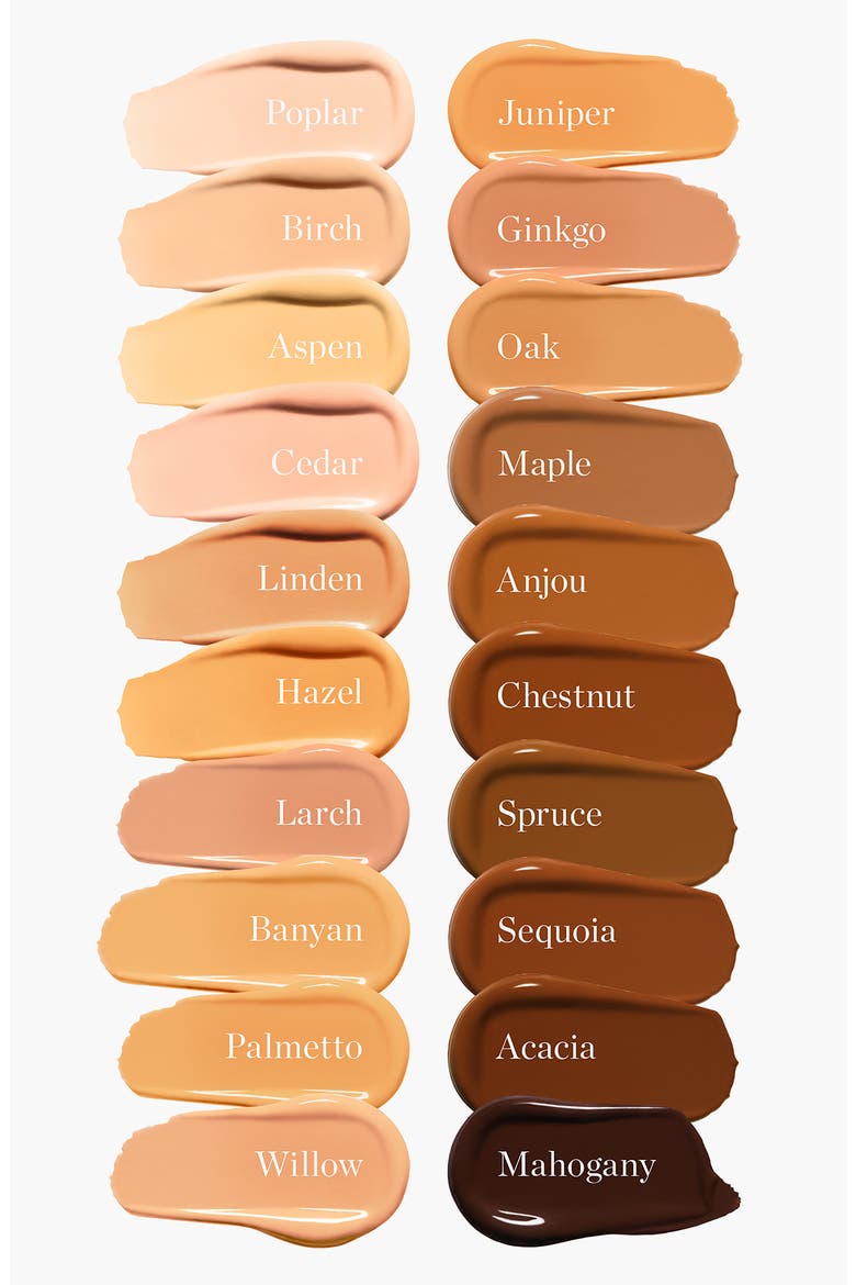 Complexion Perfecting Serum Foundation, Alternate, color, POPLAR