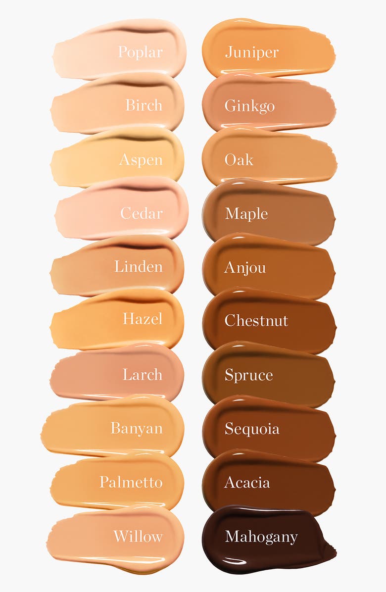 OGEE Complexion Perfecting Tinted Serum Foundation, Alternate, color, Acacia