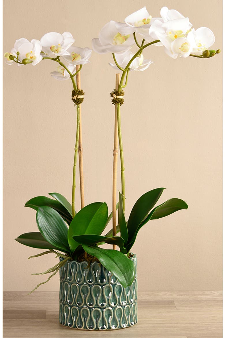 Casual Orchid Planter Decoration, Alternate, color, GREEN MEDIUM