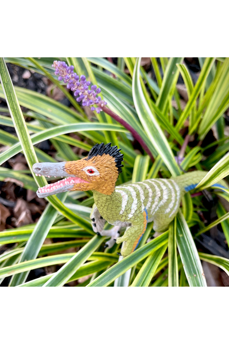 Austroraptor Toy, Alternate, color, No Color