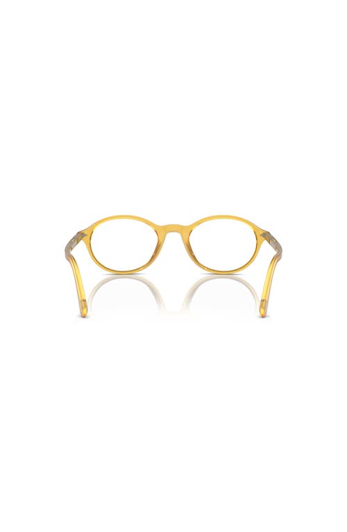 Persol 50mm Oval Optical Glasses In Gold