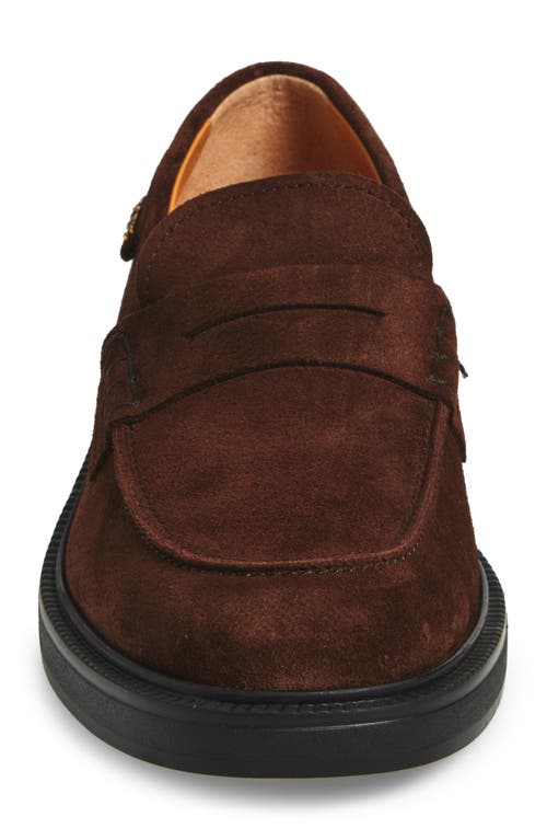 Tod's Penny-loafer Aus Wildleder In Brown