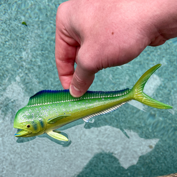 mahimahi Safari Ltd. Mahi-Mahi (Dolphin Fish) Toy | Nordstrom