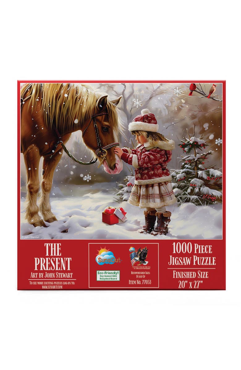 Sunsout The Present 1000 piece Jigsaw Puzzle for Adults, Alternate, color, Multicolor