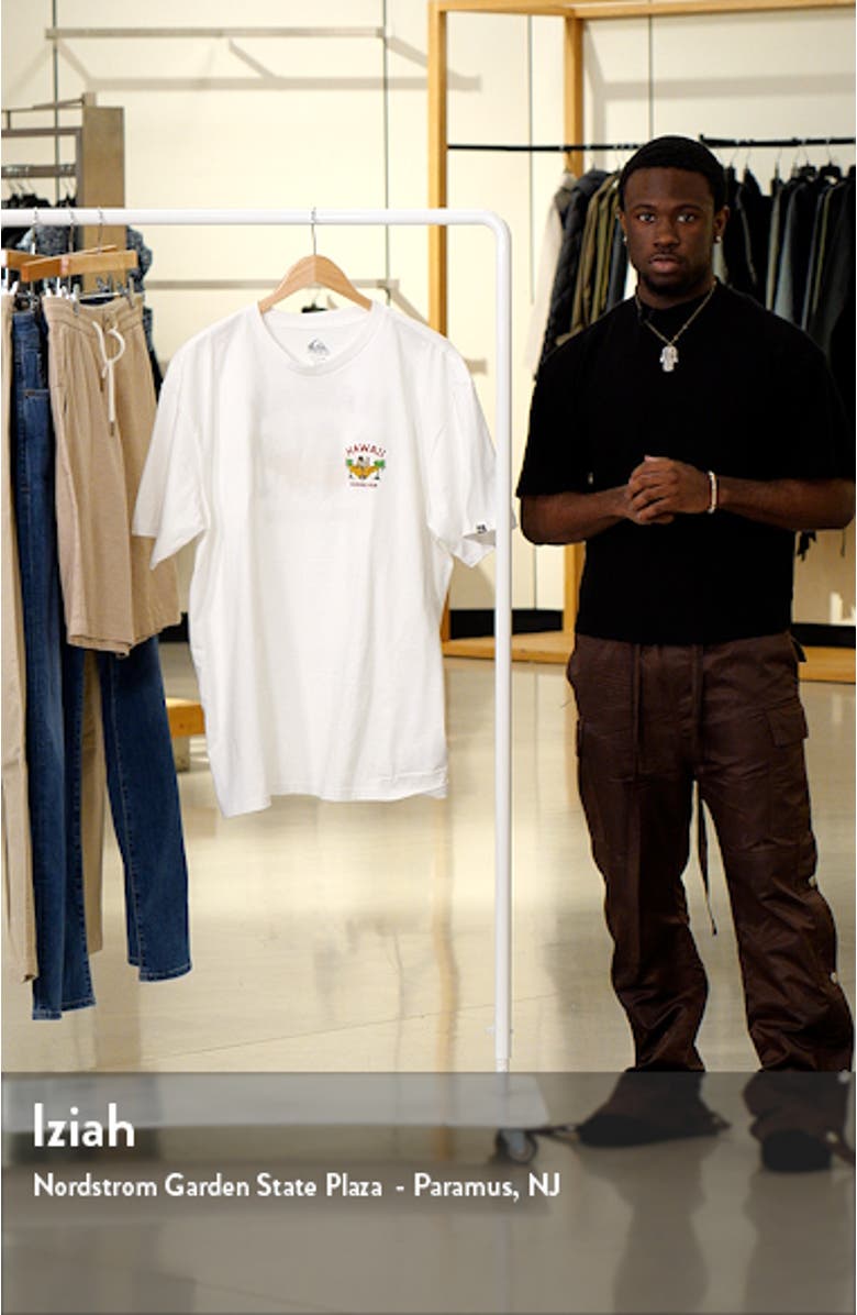 Hawaii Collection Big Man Graphic T-Shirt, sales video thumbnail