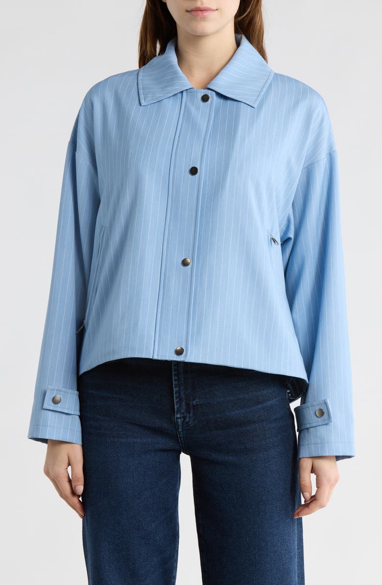 Bernardo Stripe Jacket, Main, color, Light Blue
