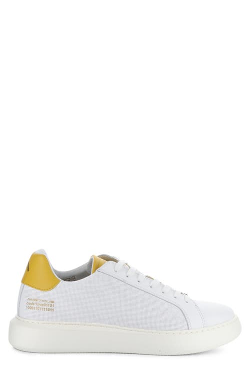 AMBITIOUS AMBITIOUS 10634A LOW TOP SNEAKER 